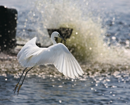 商佑君攝影個展
